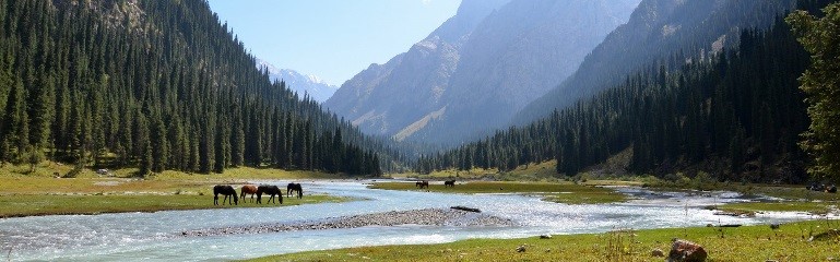 Bishkek – Burana – Chon Kemin
