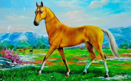 Akhalteke Horse Tour, Foothils Riding