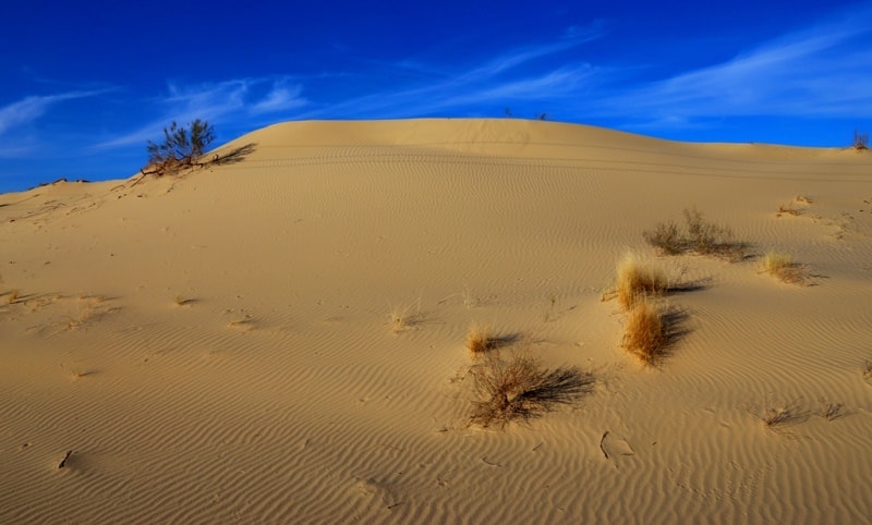Extreme Program to the Heart of Karakum Desert